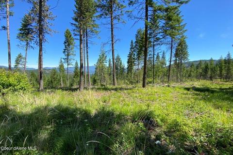 458 Schneiders Rd, Sagle, ID 83860 photo 91