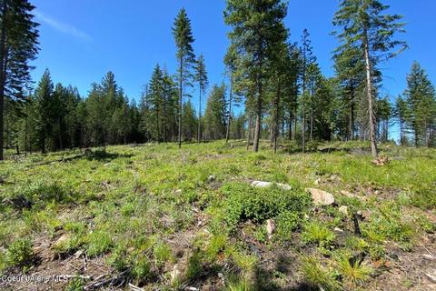 458 Schneiders Rd, Sagle, ID 83860 photo 93