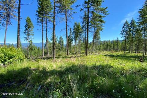 458 Schneiders Rd, Sagle, ID 83860 photo 90