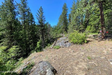 458 Schneiders Rd, Sagle, ID 83860 photo 88
