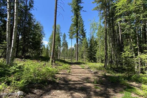 458 Schneiders Rd, Sagle, ID 83860 photo 56