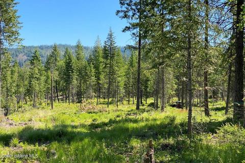 458 Schneiders Rd, Sagle, ID 83860 photo 92
