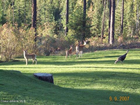 237 Mountain Ridge Dr, Sagle, ID 83860 photo 48