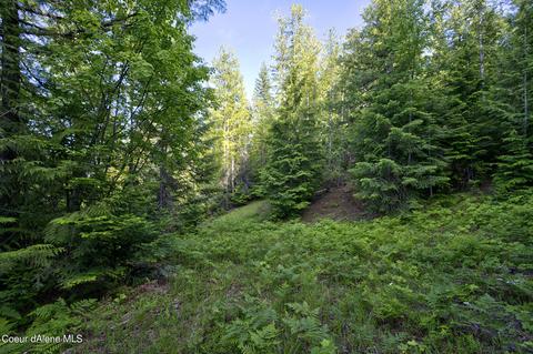 237 Mountain Ridge Dr, Sagle, ID 83860 photo 18