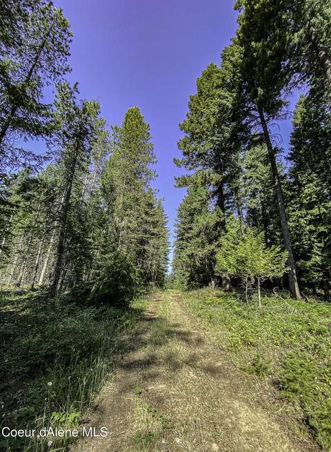 49 Denali Rd, Sagle, ID 83860 photo 20