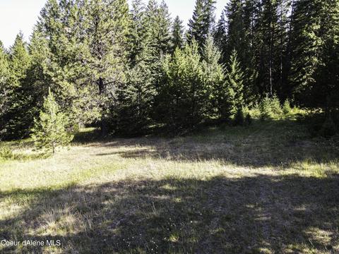 49 Denali Rd, Sagle, ID 83860 photo 2