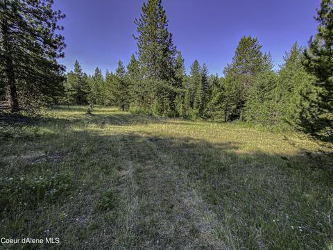49 Denali Rd, Sagle, ID 83860 photo 18