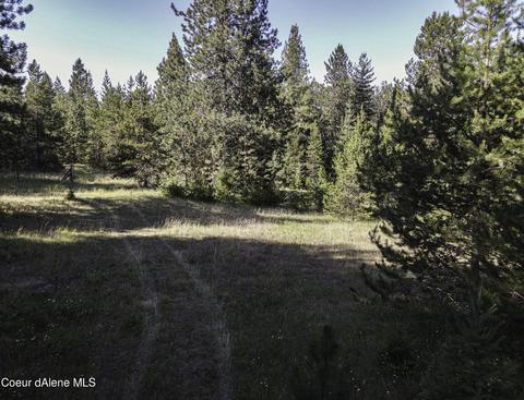 49 Denali Rd, Sagle, ID 83860 photo 7