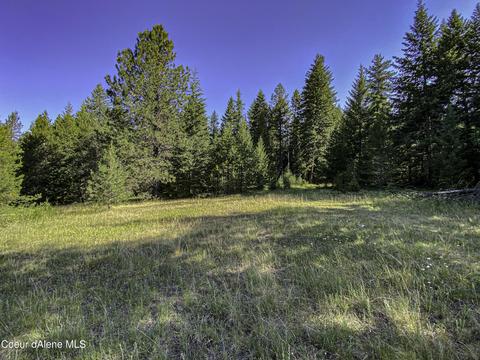 49 Denali Rd, Sagle, ID 83860 photo 17
