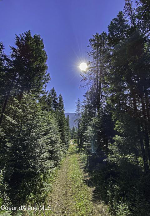 49 Denali Rd, Sagle, ID 83860 photo 19