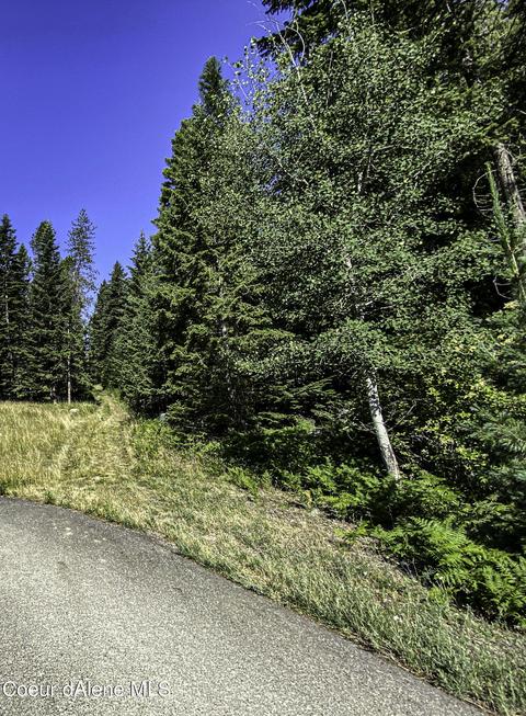 49 Denali Rd, Sagle, ID 83860 photo 21
