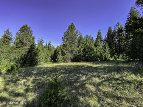 49 Denali Rd, Sagle, ID 83860 photo 16
