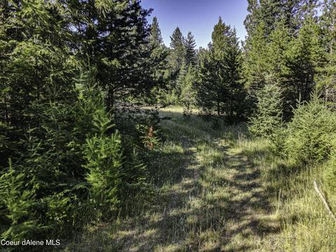 49 Denali Rd, Sagle, ID 83860 photo 15