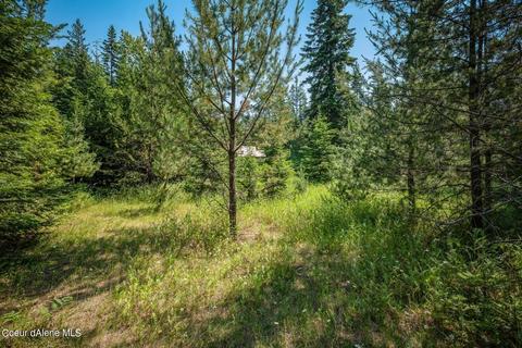 299 High Rd, Sandpoint, ID 83864 photo 11