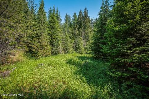 299 High Rd, Sandpoint, ID 83864 photo 12