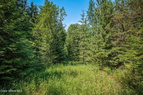 299 High Rd, Sandpoint, ID 83864 photo 6
