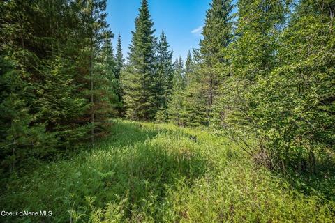 299 High Rd, Sandpoint, ID 83864 photo 13