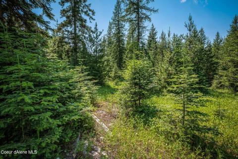 299 High Rd, Sandpoint, ID 83864 photo 9