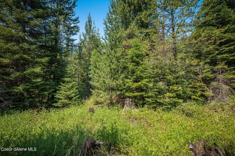 299 High Rd, Sandpoint, ID 83864 photo 14