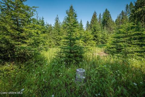 299 High Rd, Sandpoint, ID 83864 photo 8