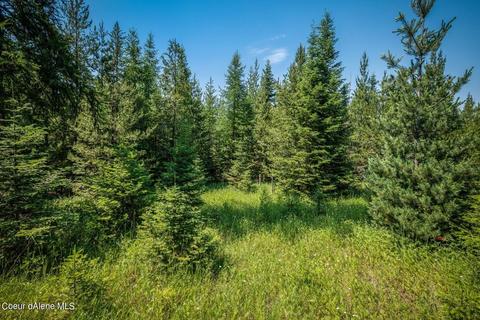 299 High Rd, Sandpoint, ID 83864 photo 7