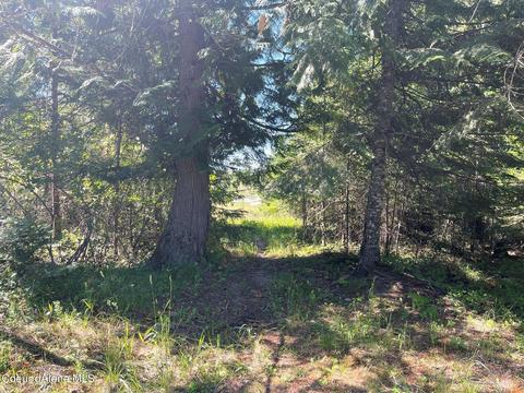 582 Mountain View Rd, Clark Fork, ID 83811 photo 17