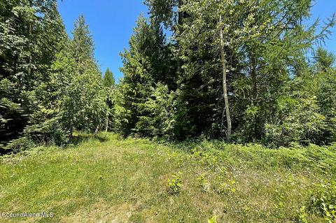 237 Crimson Ln, Naples, ID 83847 photo 13