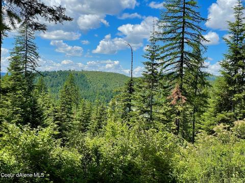 531 Sparrow Dr, Plummer, ID 83851 photo 24
