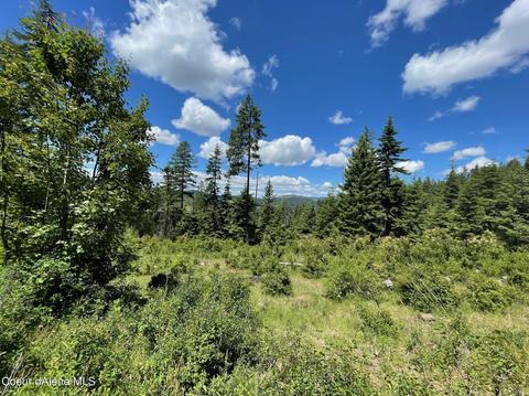531 Sparrow Dr, Plummer, ID 83851 photo 20