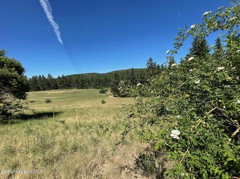 531 Sparrow Dr, Plummer, ID 83851 photo 13