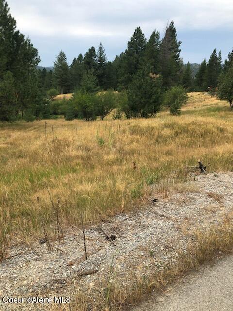 120 Trail Blazer Ct, Pinehurst, ID 83850 photo 4