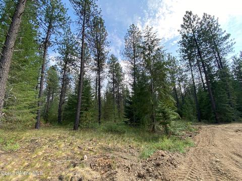 1760 W Seasons Rd, Athol, ID 83801 photo 10