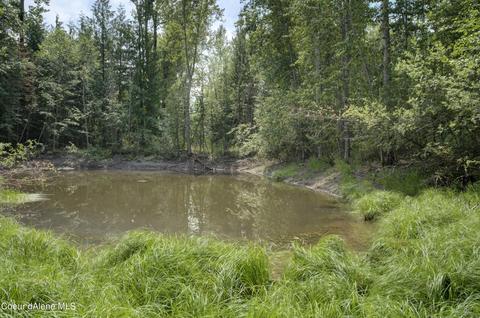 1534 Forest Siding Rd, Sandpoint, ID 83864 photo 23