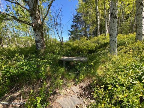 4450 Hwy 2, Priest River, ID 83856 photo 4