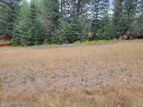 213 Old Farm Rd, Pinehurst, ID 83850 photo 2