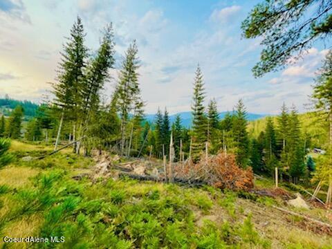 112 Blazing Saddle, Pinehurst, ID 83850 photo 1