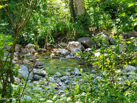 113 Forest River Ln, Sandpoint, ID 83864 photo 12