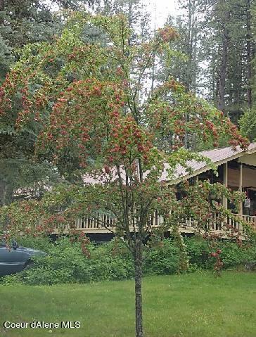 111 S Sagle Rd, Sagle, ID 83860 photo 40