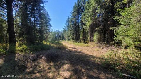 8722 E Highway 54, Athol, ID 83801 photo 6