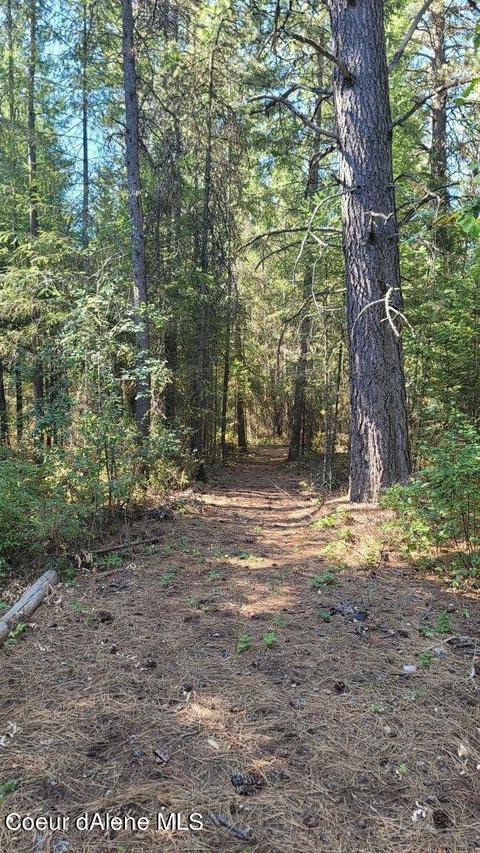 8722 E Highway 54, Athol, ID 83801 photo 5