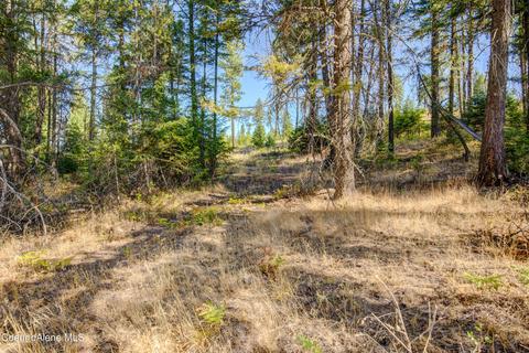 435 Decker Ln, Oldtown, ID 83822 photo 23