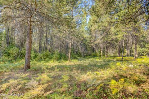 435 Decker Ln, Oldtown, ID 83822 photo 28