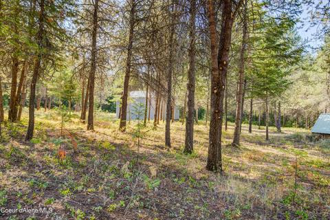435 Decker Ln, Oldtown, ID 83822 photo 24