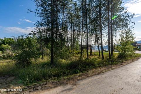 300 Opal Ct, Dover, ID 83825 photo 4