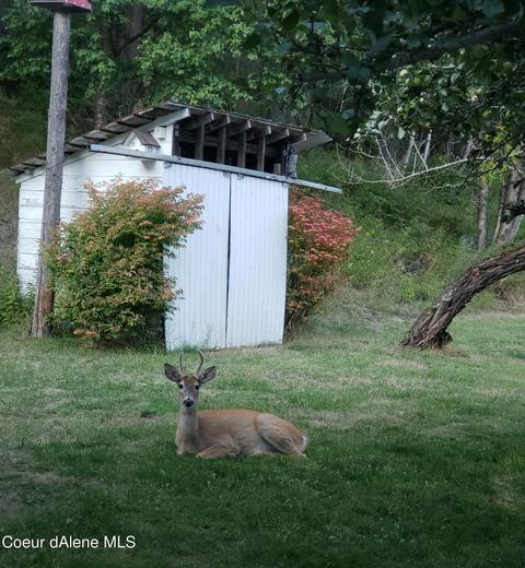 2765 Rapid Lightning Rd, Sandpoint, ID 83864 photo 39