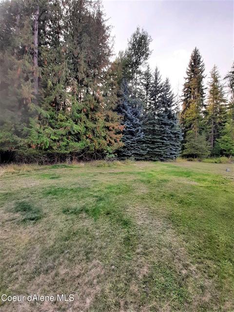 4129 Selle Rd, Sandpoint, ID 83864 photo 4