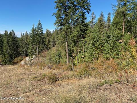 1386 S Steinpreis Rd, Post Falls, ID 83854 photo 6