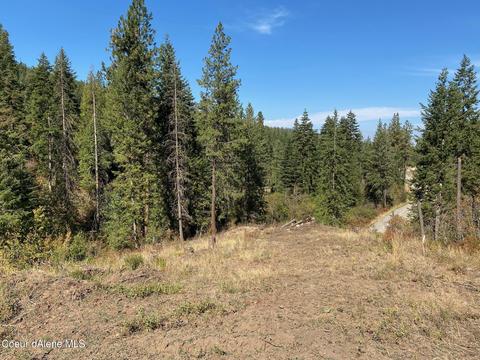 1386 S Steinpreis Rd, Post Falls, ID 83854 photo 2