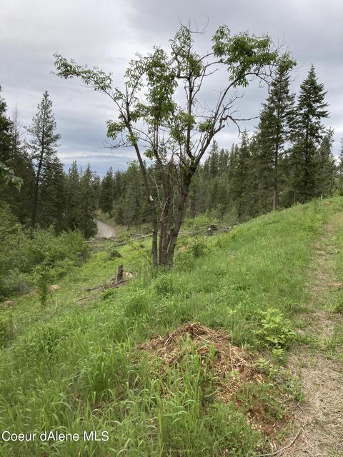 1386 S Steinpreis Rd, Post Falls, ID 83854 photo 3
