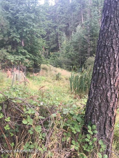 1386 S Steinpreis Rd, Post Falls, ID 83854 photo 16